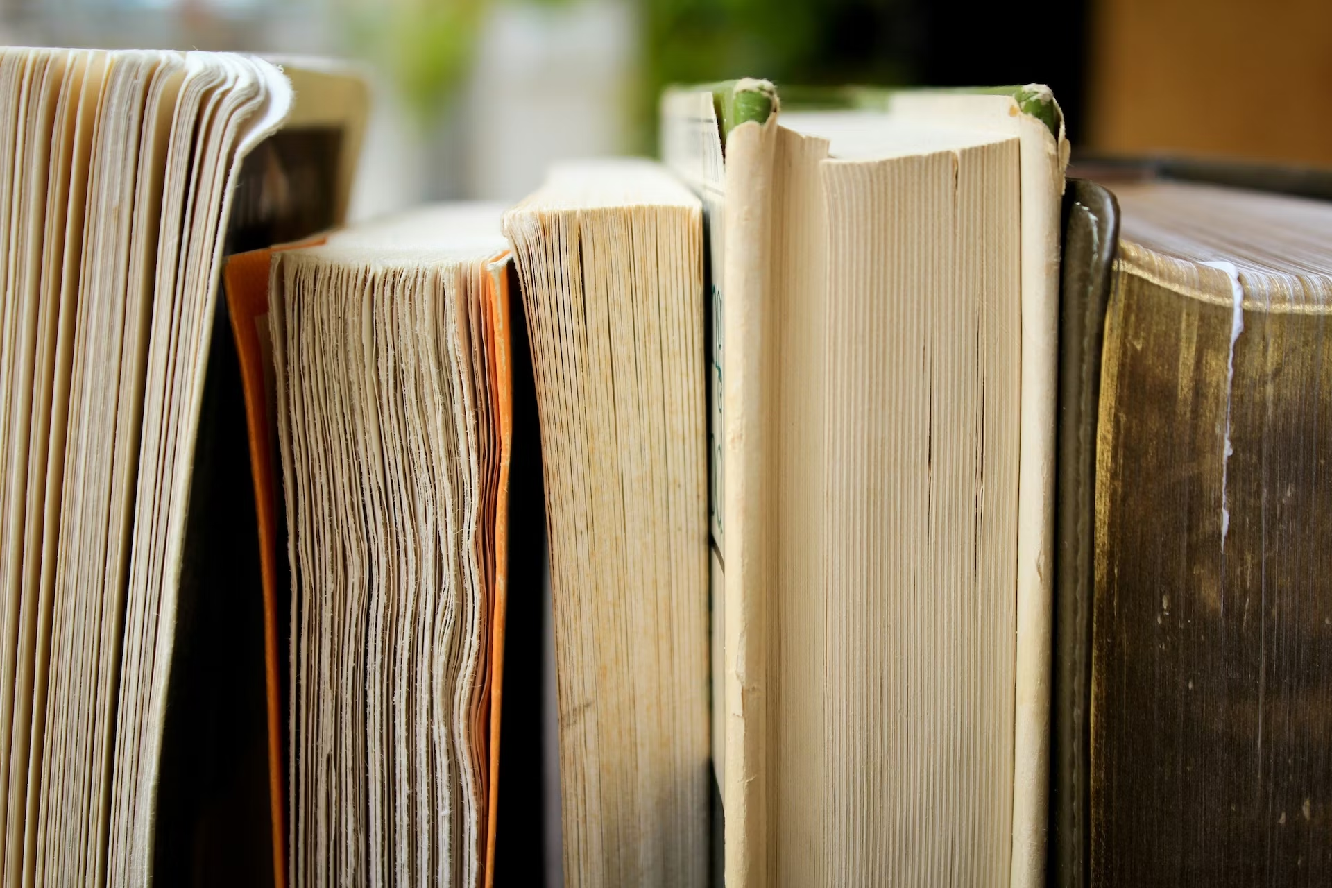 Названа самая продаваемая детская книга в новогодние праздники
